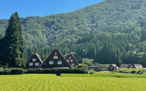 日本三大名泉 「下呂温泉」湯づくしとグルメの 日帰りコース